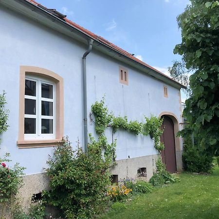Ferienwohnung Maurer Hasborn-Dautweiler Экстерьер фото