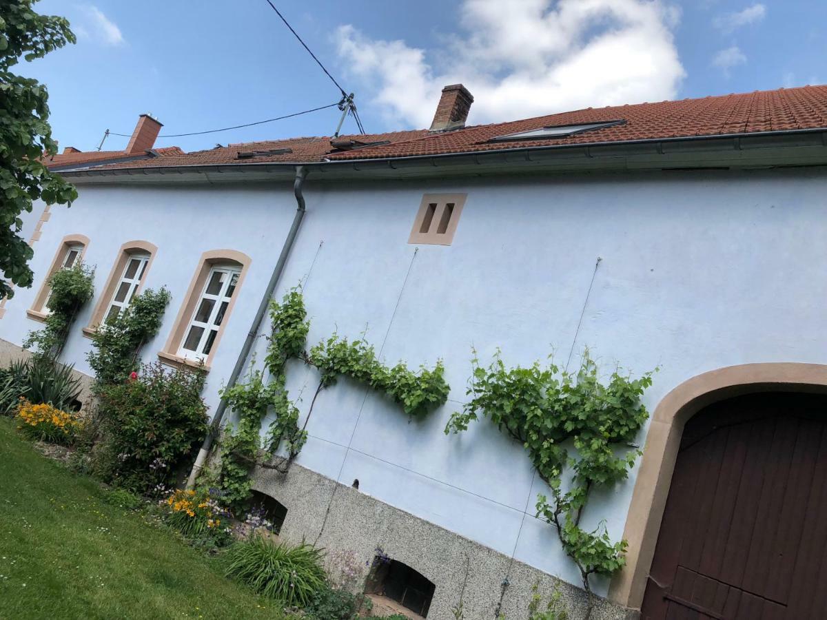 Ferienwohnung Maurer Hasborn-Dautweiler Экстерьер фото
